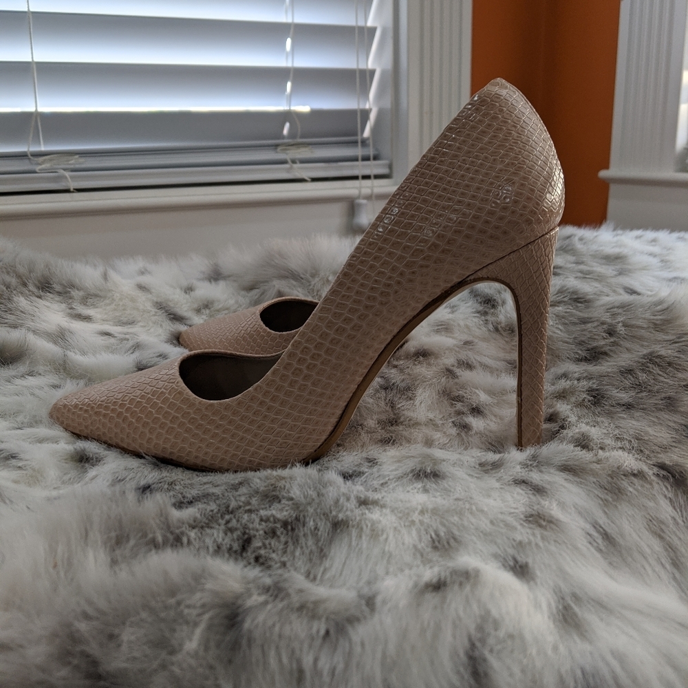 Zara Pointy Toe Heel